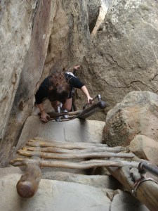 Ladders out of Cliff Palace