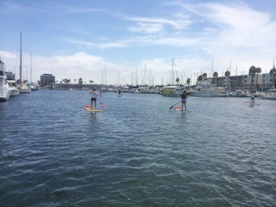 Paddleboarding in the marina