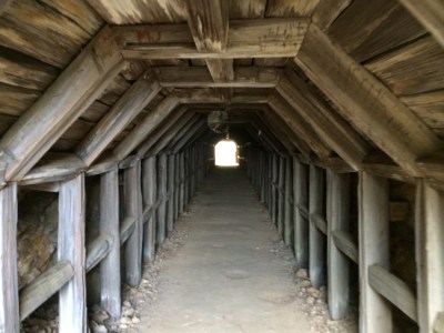 Partington Cove Tunnel